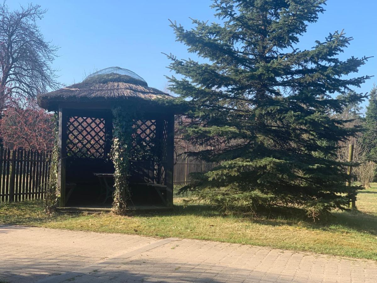 Apartamenty na Kaszubach nad stawem Dziemiany Zewnętrze zdjęcie