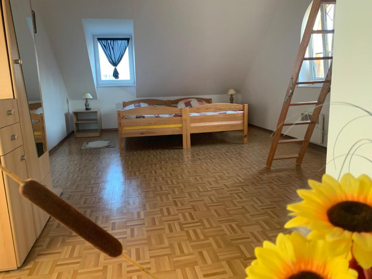 Apartamenty na Kaszubach nad stawem Dziemiany Zewnętrze zdjęcie